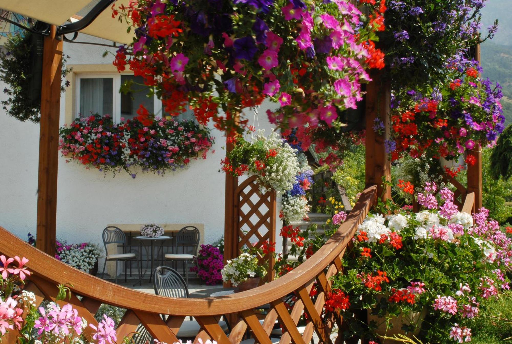 La Roche Hotel Appartments Aosta Luaran gambar